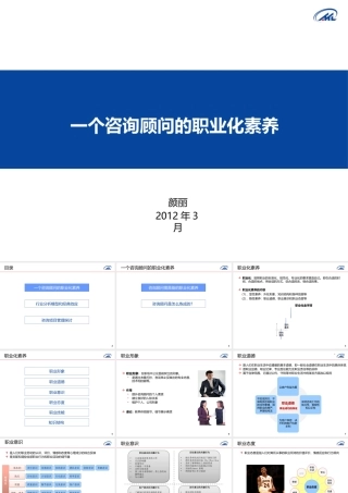 一个咨询顾问的素养