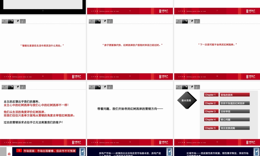 XXXX红树西岸项目发展策略