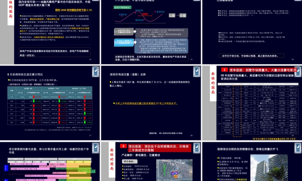 XXXX红树西岸项目发展策略