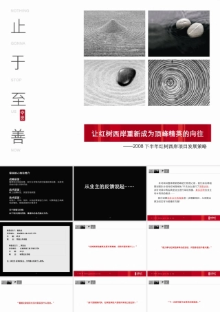 XXXX红树西岸项目发展策略