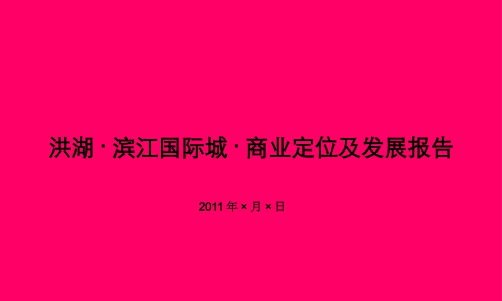 XXXX洪湖滨江国际城商业定位及发展报告1030572062