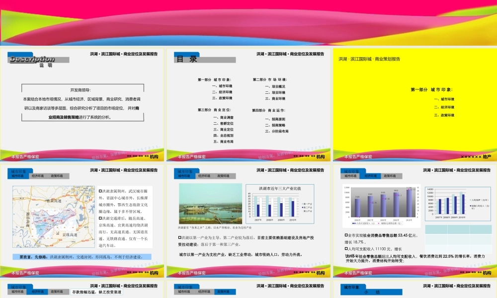 XXXX洪湖滨江国际城商业定位及发展报告1030572062