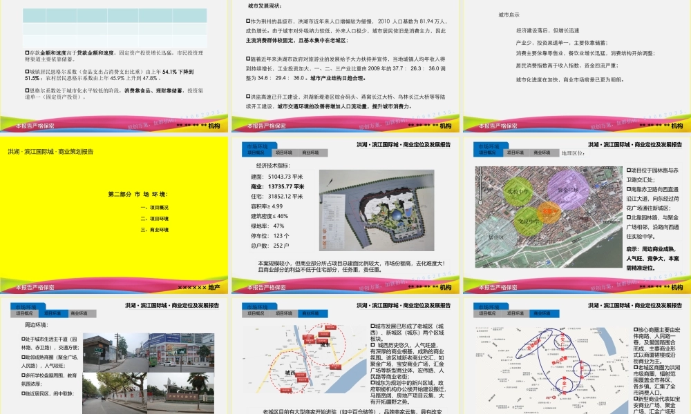 XXXX洪湖滨江国际城商业定位及发展报告1030572062