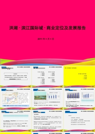 XXXX洪湖滨江国际城商业定位及发展报告1030572062