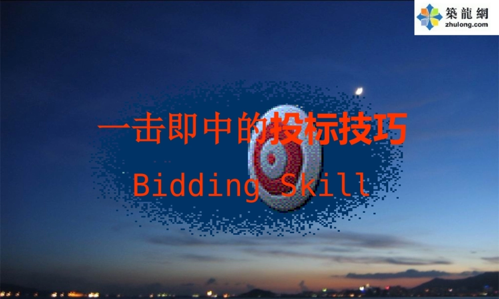 一击即中的投标技巧教材