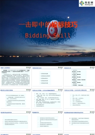 一击即中的投标技巧教材