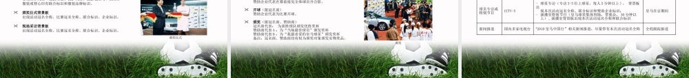 XXXX皇马中国行招商方案