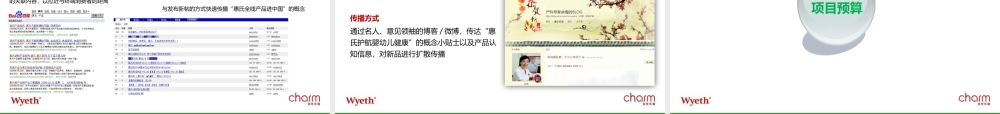 XXXX惠氏婴幼儿系列用品新品上市活动策略初案