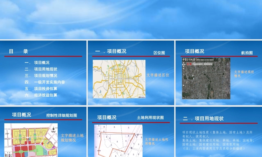 一级开发项目实施方案