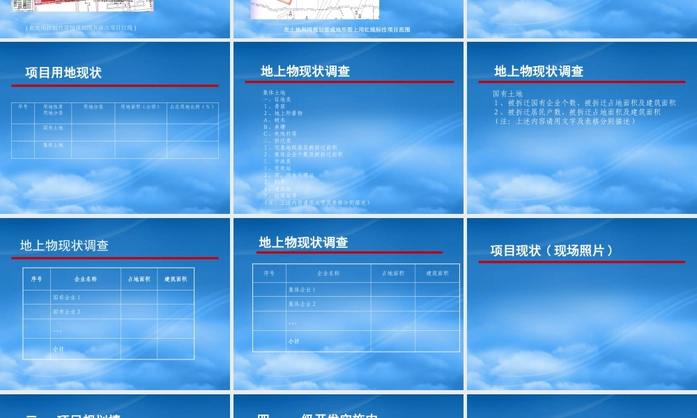 一级开发项目实施方案