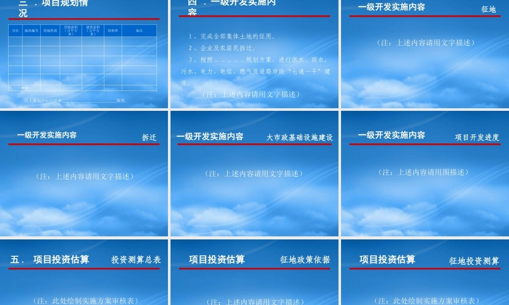 一级开发项目实施方案