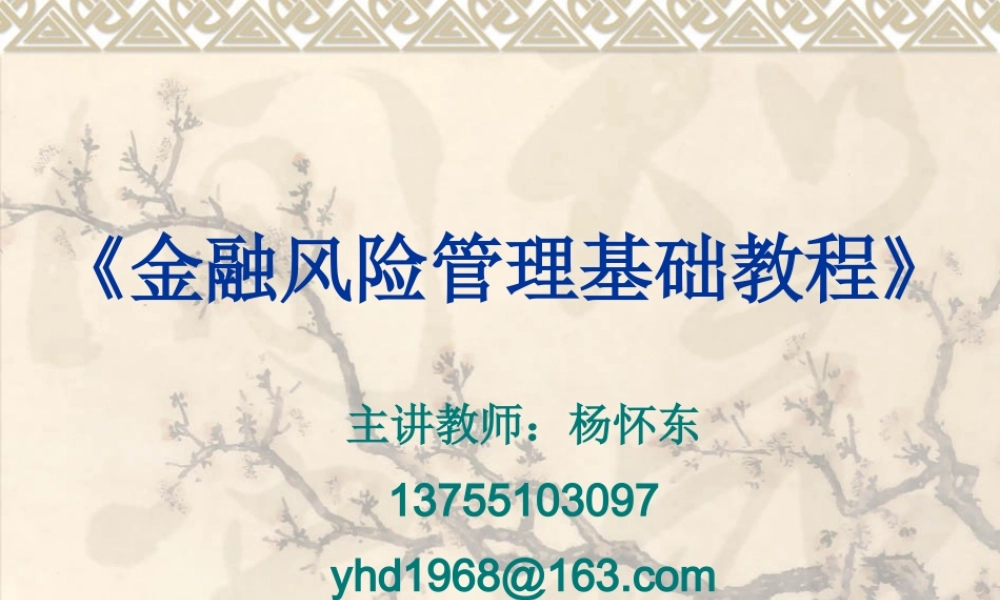 《金融风险管理基础教程》(第1章_绪论)