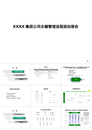 XXXX集团公司关键管理流程规划报告