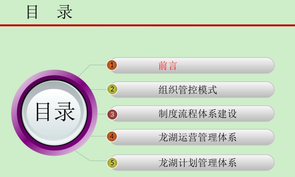 XXXX计划运营某地产项目运营管理体系与房地产异地多项