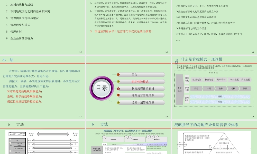 XXXX计划运营某地产项目运营管理体系与房地产异地多项