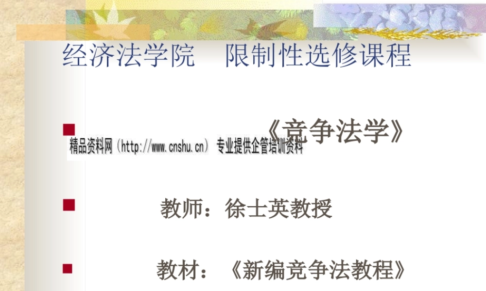《竞争法学》绪论