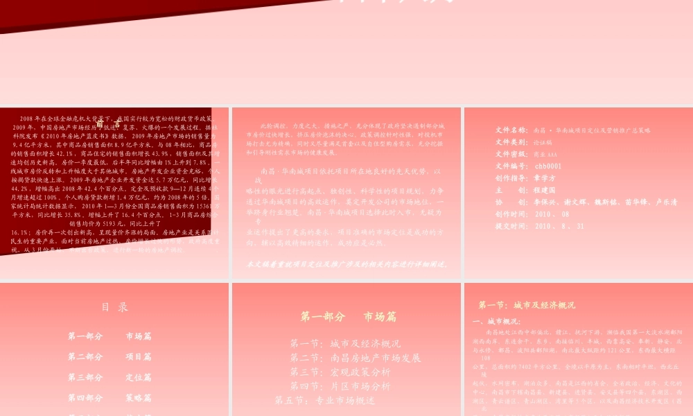 XXXX江西华南城项目定位及经济测算