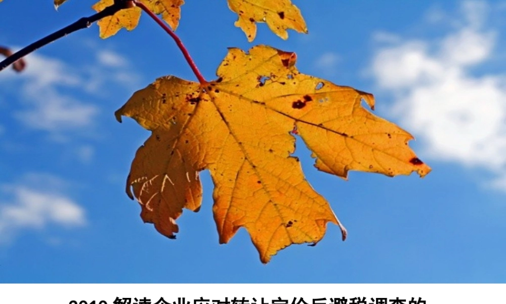 XXXX解读企业应对转让定价反避税调查的实战案例[1]