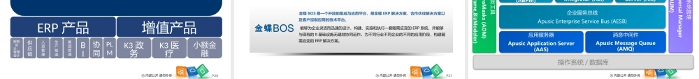 XXXX金蝶集团和产品线