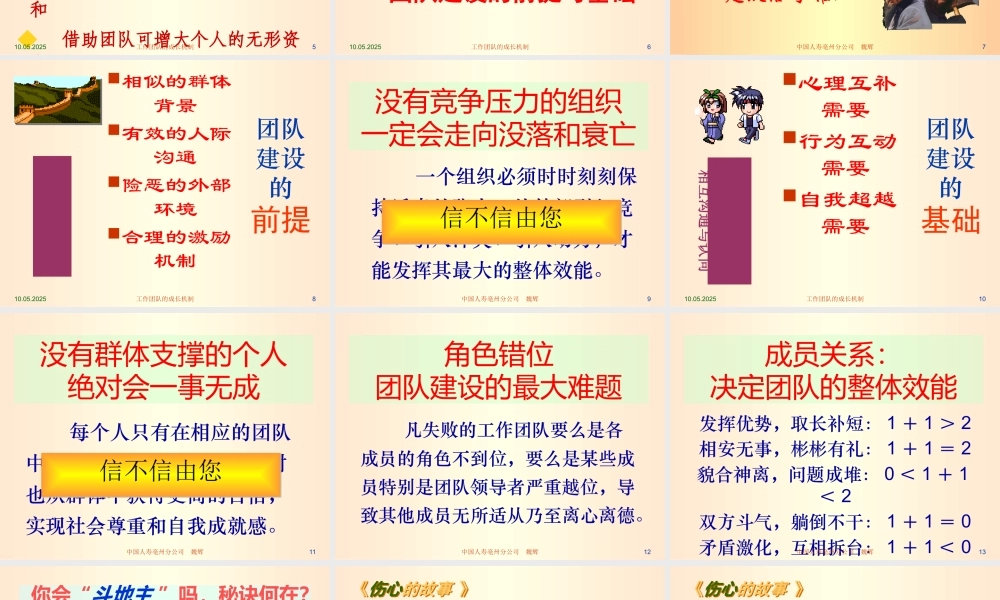 一流团队建设的重要性