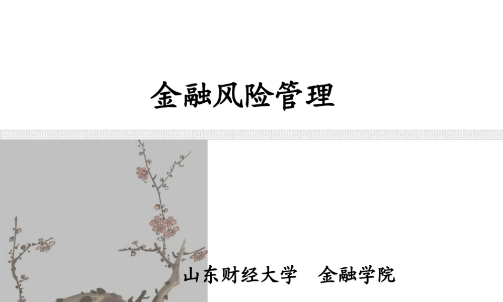 XXXX金融风险管理1--金融风险管理概述