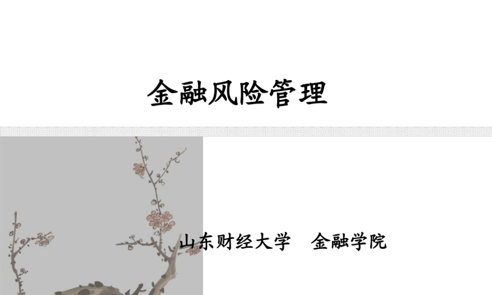XXXX金融风险管理2--金融风险的识别调整后