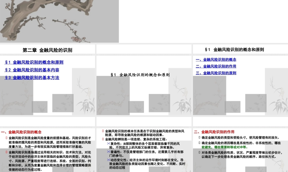 XXXX金融风险管理2--金融风险的识别调整后