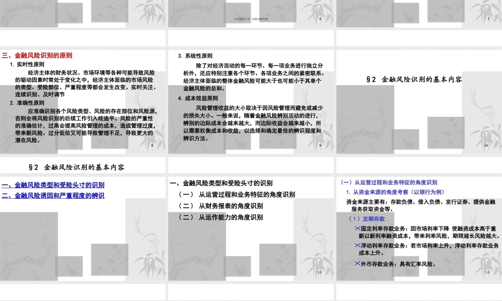 XXXX金融风险管理2--金融风险的识别调整后