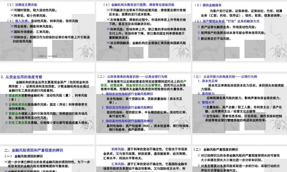 XXXX金融风险管理2--金融风险的识别调整后