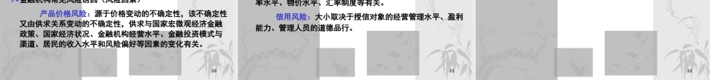 XXXX金融风险管理2--金融风险的识别调整后