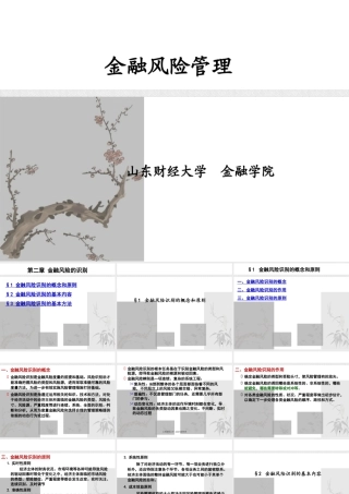 XXXX金融风险管理2--金融风险的识别调整后