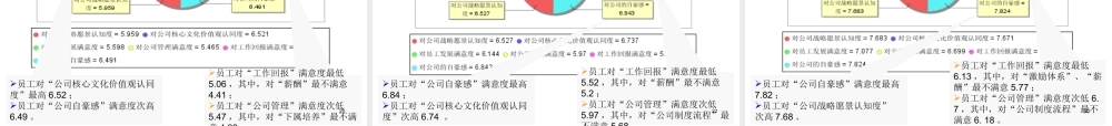 《均瑶集团员工满意度调查报告》-49页
