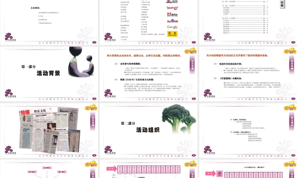 《可爱厨娘》栏目策划全案[2][1]