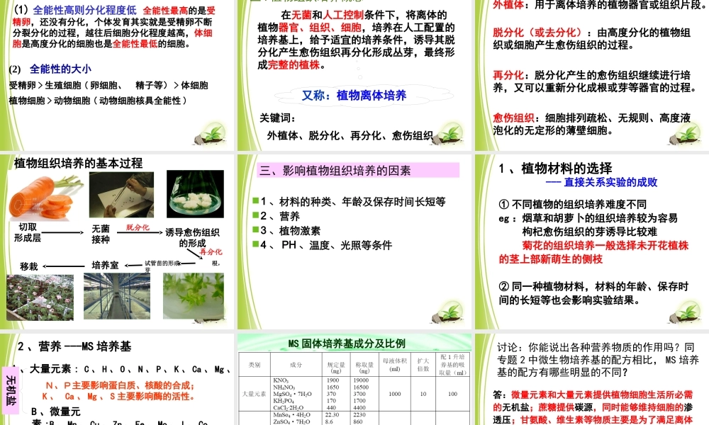 XXXX菊花的组织培养(公开课件)