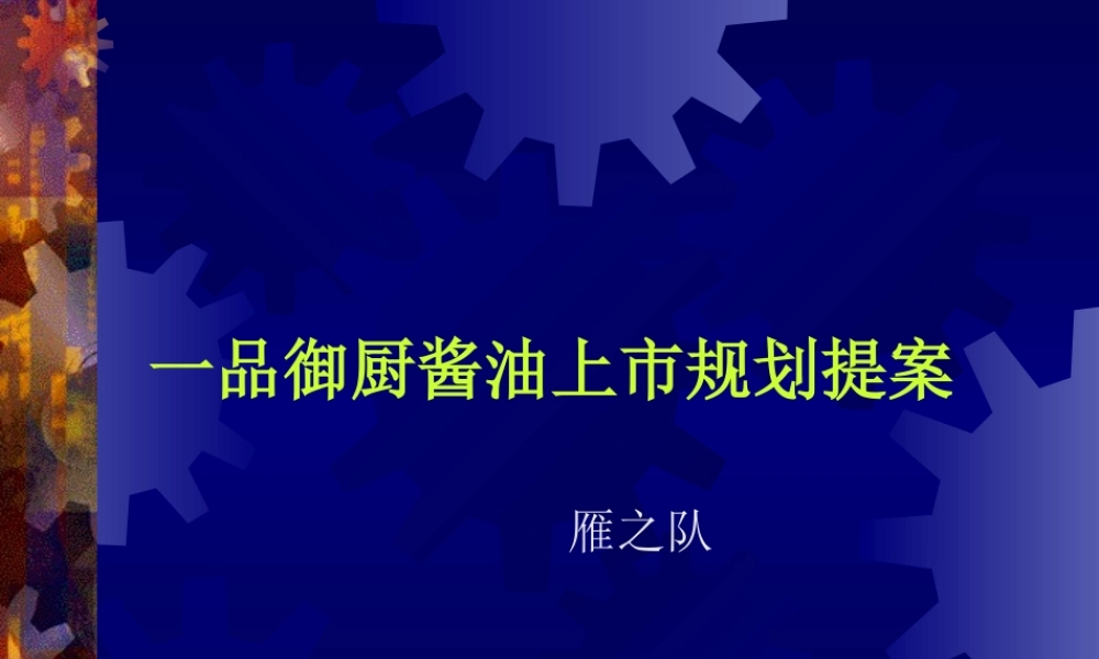 一品御厨酱油上市规划提案 