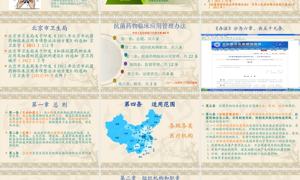 XXXX抗菌药物临床应用管理办法培训