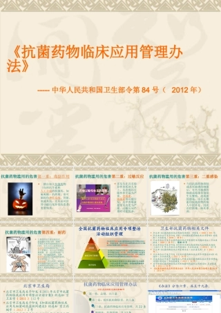 XXXX抗菌药物临床应用管理办法培训