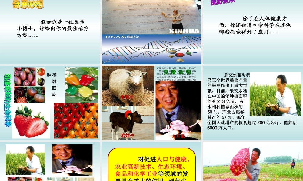 《快速发展的现代科技》课件