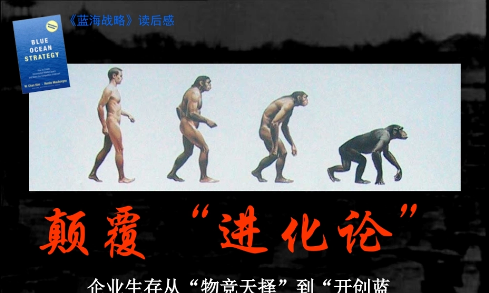 《蓝海战略》读后感