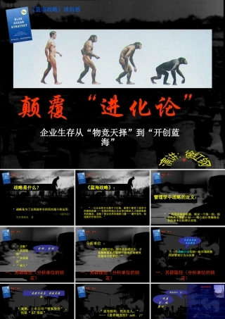 《蓝海战略》读后感
