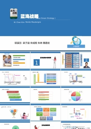 《蓝海战略》读书报告