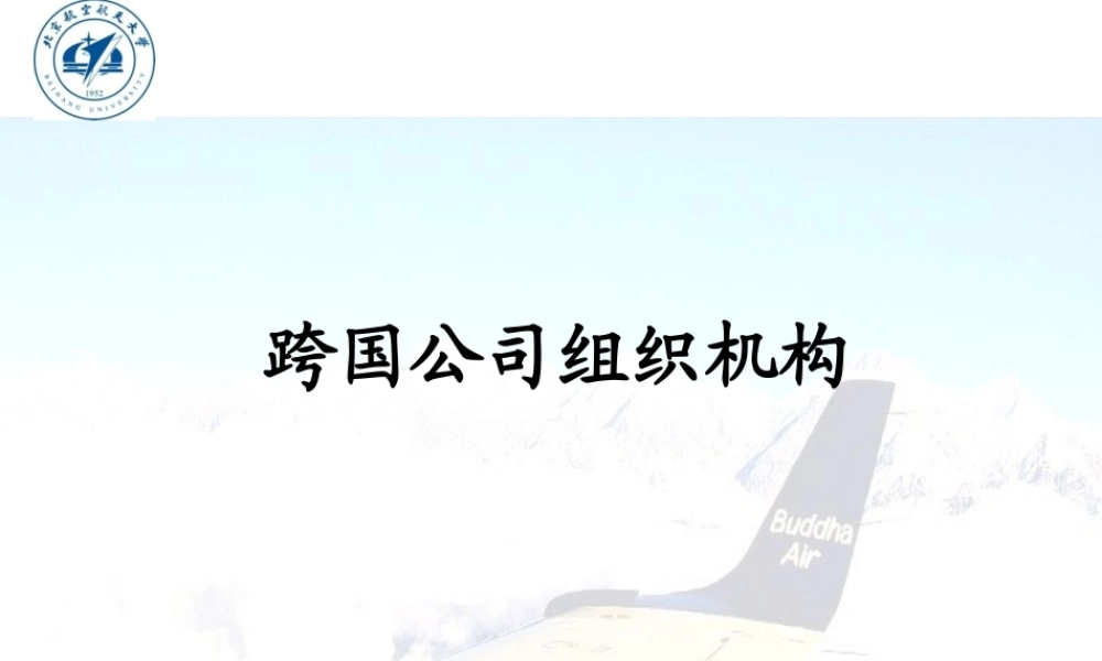 XXXX跨国公司管理-组织结构XXXX