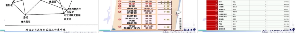 XXXX跨国公司管理-组织结构XXXX