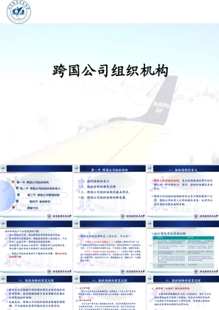 XXXX跨国公司管理-组织结构XXXX