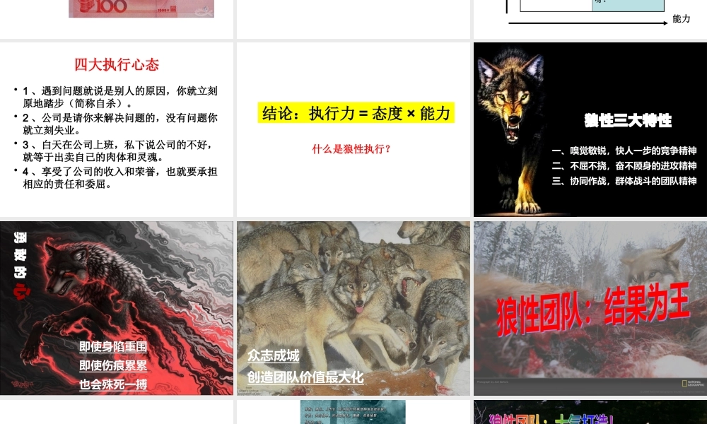 《狼性执行——结果为王》