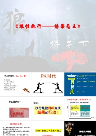 《狼性执行——结果为王》