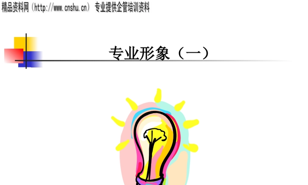《礼仪专业形象》(ppt)