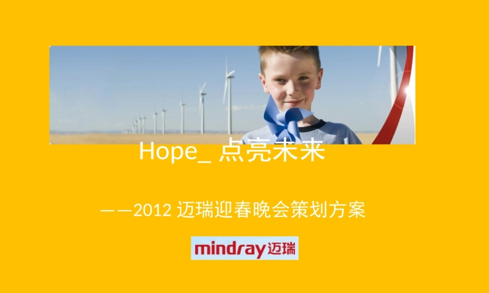 XXXX迈瑞集团迎春年会策划初稿