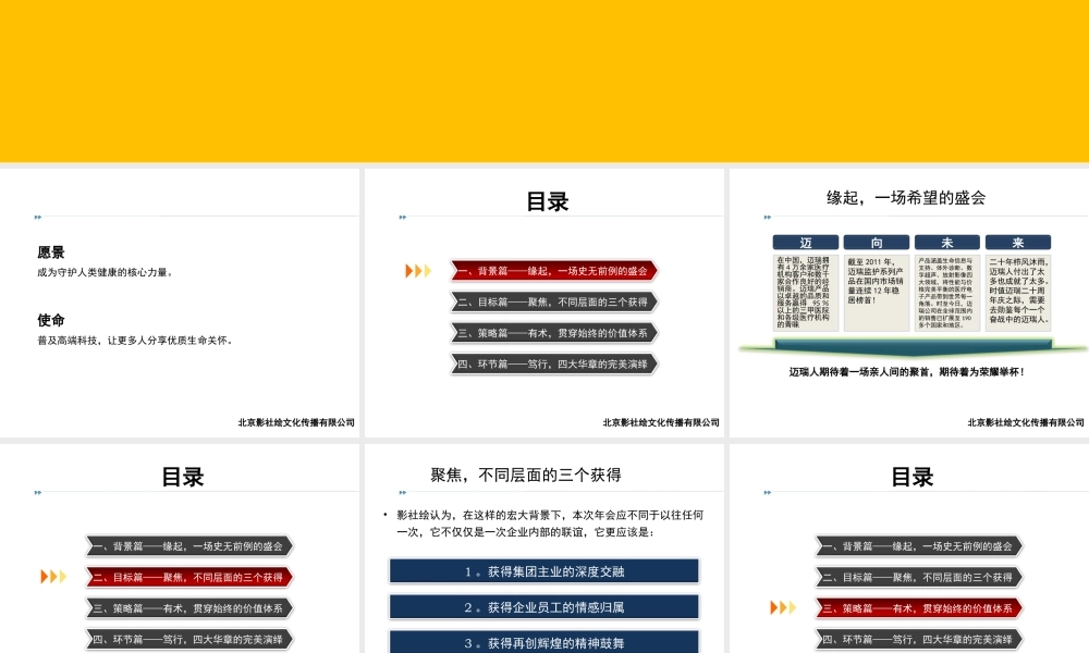 XXXX迈瑞集团迎春年会策划初稿