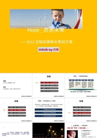 XXXX迈瑞集团迎春年会策划初稿